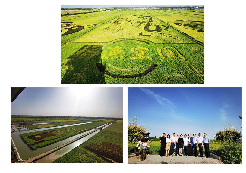 遠瓴數據集團與銀川市人民政府交流座談活動圓滿結束
